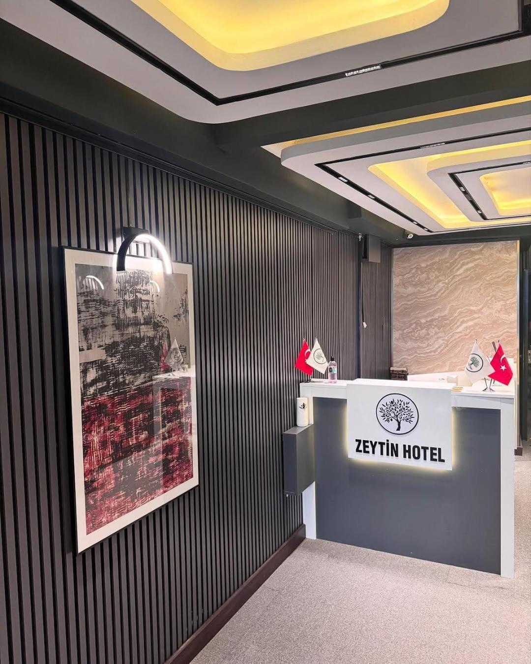 Zeytin Hotel Istanboel Buitenkant foto